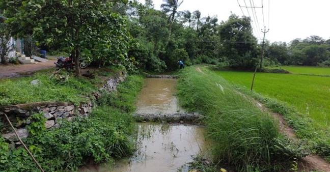 Co-Operative Arts and Sceince College Palakkad